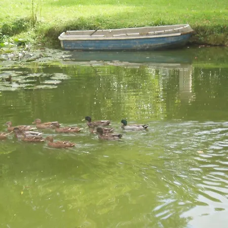 Chateau Des Poteries Bed and breakfast 3*